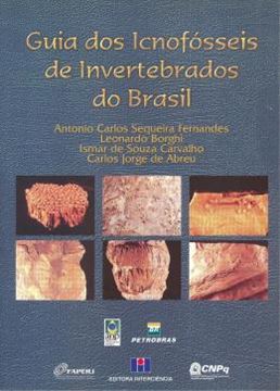 Imagem de GUIA DOS ICNOFOSSEIS DE INVERTEBRADOS DO BRASIL