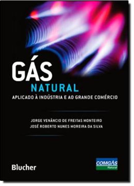 Picture of GAS NATURAL APLICADO A INDUSTRIA E AO GRANDE COMERCIO