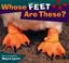 Imagem de WHOSE FEET ARE THESE?