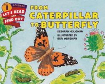Imagem de FROM CATERPILLAR TO BUTTERFLY - LEVEL 1 LET´S READ AND FIND OUT (LRFOS)