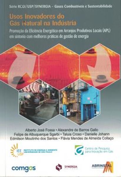 Picture of USOS INOVADORES DO GAS NATURAL NA INDUSTRIA - PROMOCAO DA EFICIENCIA ENERGETICA EM ARRANJOS PRODUTIVOS LOCAIS APL EM SINTONIA COM MELHORES PRATICAS DE GESTAO DE ENERGIA - SERIE RCGIUSPSYNERGIA