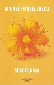 Imagem de SEROTONINA