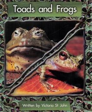 Imagem de TOADS AND FROGS