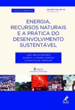 Imagem de ENERGIA, RECURSOS NATURAIS E A PRATICA DO DESENVOLVIMENTO SUSTENTAVEL - 3ª ED