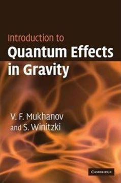 Imagem de INTRODUCTION TO QUANTUM EFFECTS IN GRAVITY