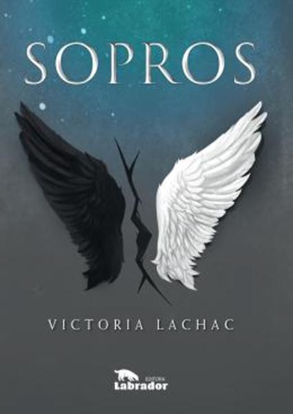 Picture of SOPROS