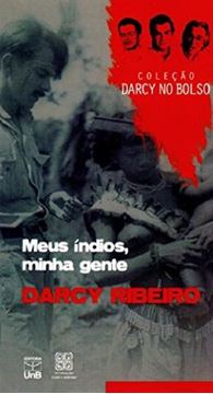 Imagem de MEUS INDIOS, MINHA GENTE - VOLUME 7. COLECAO DARCY NO BOLSO