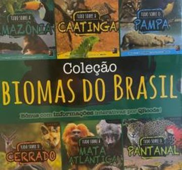 Imagem de CONJUNTO - BIOMAS DO BRASIL - 6 LIVROS