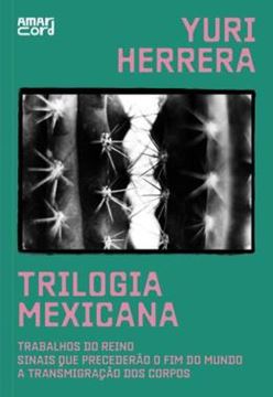 Imagem de TRILOGIA MEXICANA - TRABALHOS DO REINO; SINAIS QUE PRECEDERAO O FIM DO MUNDO; A TRANSMIGRAÇAO DOS CORPOS