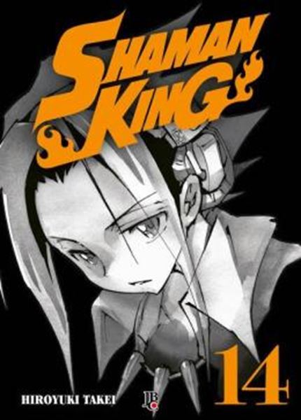 Picture of SHAMAN KING BIG VOL. 14