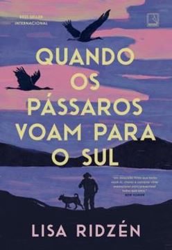 Imagem de QUANDO OS PASSAROS VOAM PARA O SUL